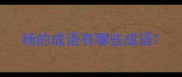 杨的成语有哪些成语