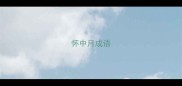 怀中月成语