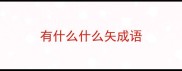 有什么什么矢成语