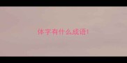 体字有什么成语