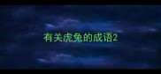 有关虎兔的成语