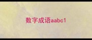 数字成语aabc