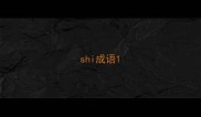 shi成语