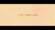 一个胖一个瘦是什么成语