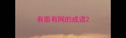 有面有网的成语