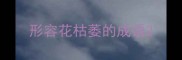 形容花枯萎的成语