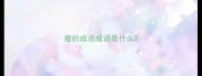 瘦的成语成语是什么