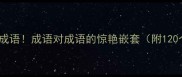 成语中的成语成语对成语的惊艳嵌套附120个例子