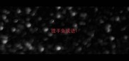 提手鱼成语