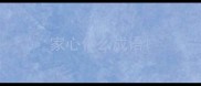 家心什么成语
