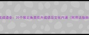 鱼花成语全20个常见鱼类花卉成语及文化内涵附用法指南