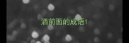 洒前面的成语