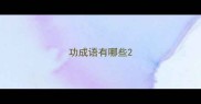 功成语有哪些