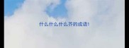 什么什么什么芥的成语