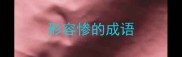 形容惨的成语