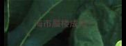 海市蜃楼成语