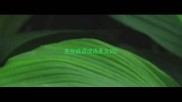 弃投成语成语反义词