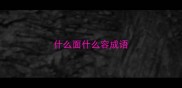 什么面什么容成语