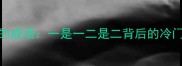 最后一个带字字的成语一是一二是二背后的冷门知识与应用场景