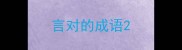 言对的成语