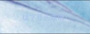 珑字开头成语