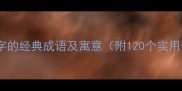 包含孙字的经典成语及寓意附120个实用例句