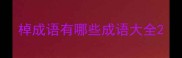 棹成语有哪些成语大全
