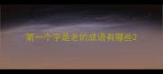第一个字是老的成语有哪些