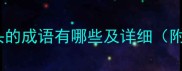 通字开头的成语有哪些及详细附例句