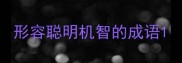 形容聪明机智的成语