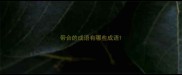 带合的成语有哪些成语