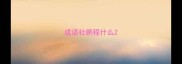 成语杜鹏程什么