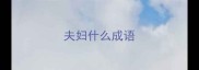 夫妇什么成语
