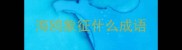 海鸥象征什么成语