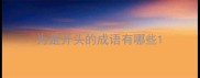 为是开头的成语有哪些