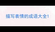 描写表情的成语大全