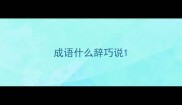成语什么辞巧说