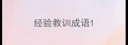 经验教训成语