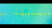 蜻蜓点水一个成语背后的自然哲学与人生智慧