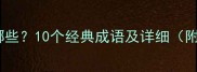 杉字成语有哪些10个经典成语及详细附用法示例