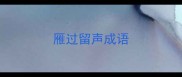 雁过留声成语