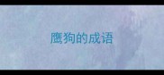 鹰狗的成语