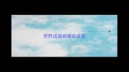 野野成语有哪些成语