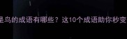 第三个字是鸟的成语有哪些这10个成语助你秒变表达高手