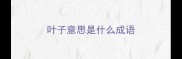 叶子意思是什么成语