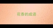 花香的成语