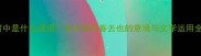 花落河中是什么成语流水落花春去也的意境与文学运用全指南