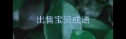 出售宝贝成语