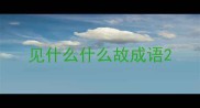 见什么什么故成语
