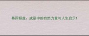 暴雨倾盆成语中的自然力量与人生启示